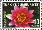 20090302